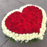 251 роза в корзине