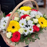Волшебный лес Волшебный лес