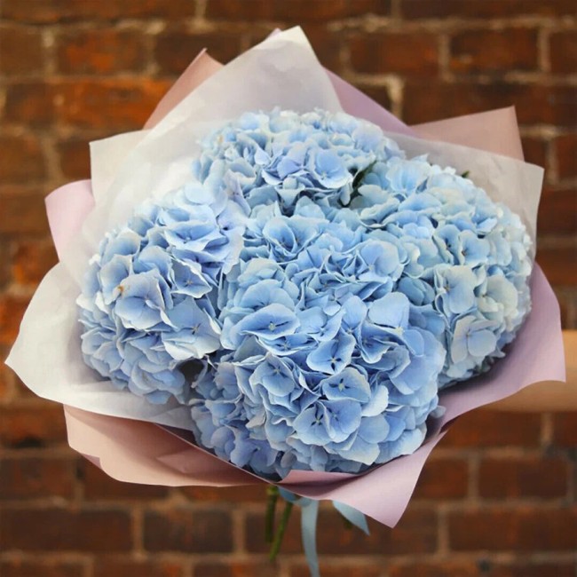 Букет цветов "Голубые гортензии " Букет цветов "Голубые гортензии "